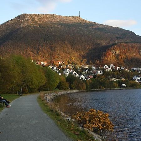 Luxurious Retreat In The Middle Of City Center Bergen Bagian luar foto